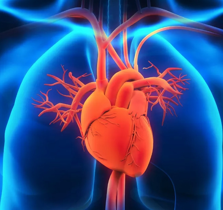 Storytelling Takes the&nbsp;Lead